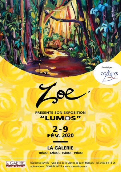 Expo zoe 2020 annonce.jpg