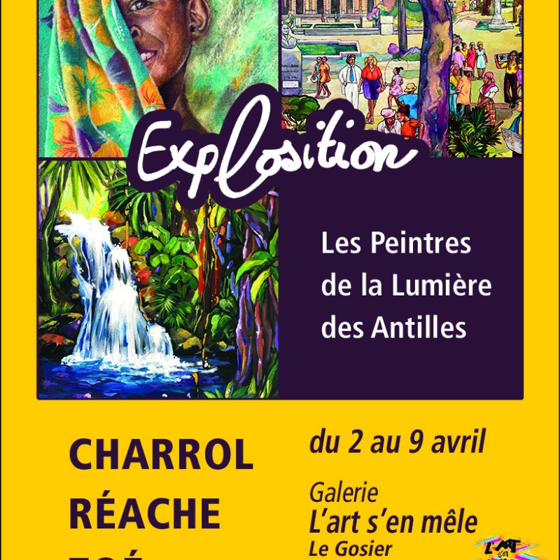 EXPLOSITION DE MES&nbsp;TOILES